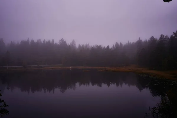Μαγική Νεράιδα Ουρά Σκοτεινή Λίμνη Βροχερές Ημέρες Νορβηγία — Φωτογραφία Αρχείου