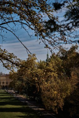         Krakow 'daki sonbahar sokağının manzarası kale duvarlarının yüksekliğinden                       