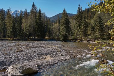      Polonya ile Slovakya sınırında bir dağ nehri.                          