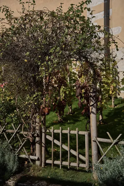 a woven plants hang over a wooden fence made of branches