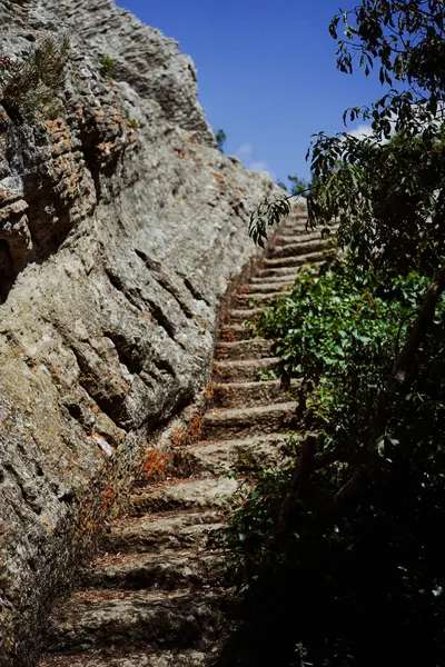       Akdeniz ağaçlarıyla çevrili kayaların üzerine oyulmuş antik taş basamaklar.                         
