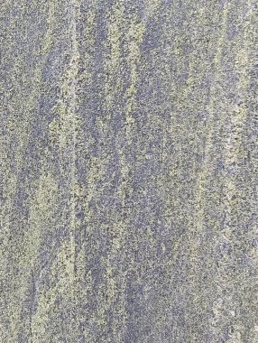 Yağmurla yıkanmış çok eski bir ağacın dokusu.