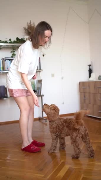 身着家居服的女孩正在和一个7个月大的驾驶舱女孩一起训练 教狗狗指挥 — 图库视频影像