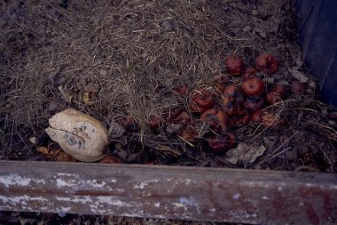 gübre bariyeri, organik atıkların ev işlemesi
