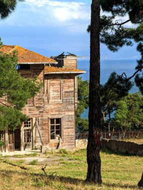         İstanbul, Türkiye - 12 Haziran 2023: Prinkipo Yunan Yetimhanesi                    