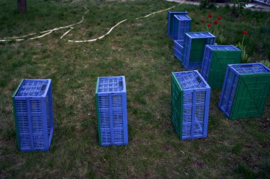 Sebzeler için plastik bir kutu çimenlerin üzerinde yatıyor.