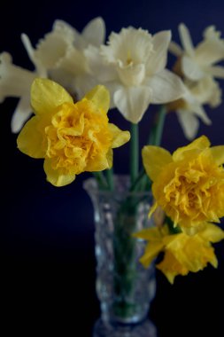 Siyah arkaplanda kristal bir vazoda nergisler