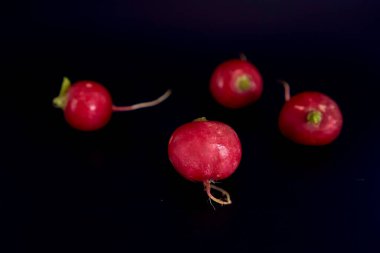 Siyah arka planda taze bir turp.