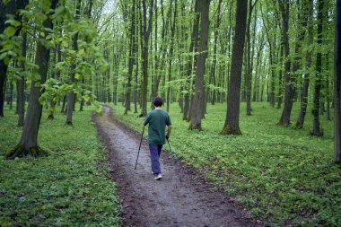 Yaşlı bir kadın İskandinavya 'da Bahar Ormanı' nda sopalarla yürüyor.