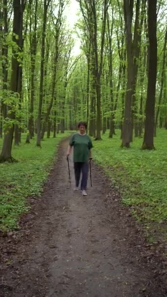 Μια Ηλικιωμένη Γυναίκα Ασχολείται Σκανδιναβικό Περπάτημα Μπαστούνια Στο Δάσος Άνοιξη — Αρχείο Βίντεο