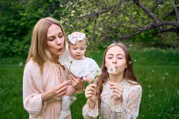 어머니와 그녀의 딸들이 정원에서 민들레와 스톡 이미지