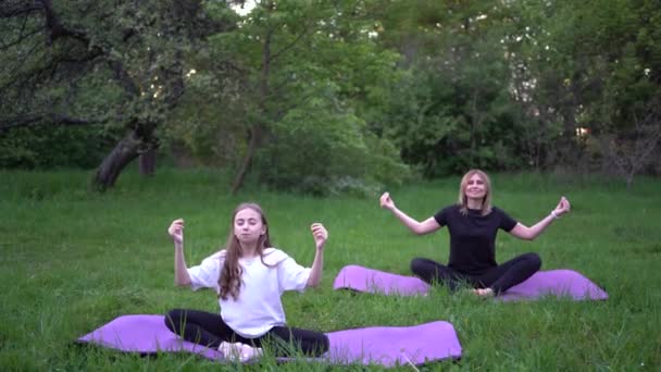 女人和女孩在大自然中做瑜伽和冥想 — 图库视频影像