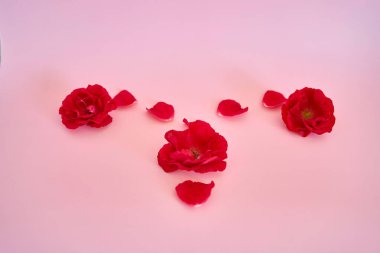 Bir kadının rahmi, kırmızı güller, adet görme