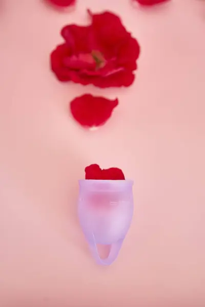 stock image a woman's uterus, red roses, menstruation