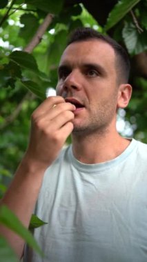 Genç adam dut yiyor, ellerini, dilini ve yüzünü meyve suyuyla lekelemiş.