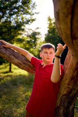 Kırmızı tişörtlü bir çocuk parktaki solmuş bir ağacın yanında üzgün.