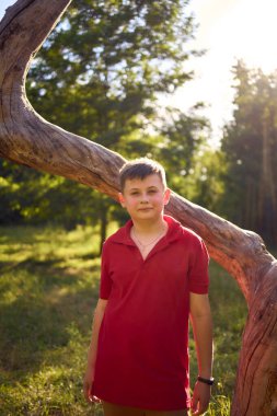 Kırmızı tişörtlü bir çocuk parktaki solmuş bir ağacın yanında üzgün.