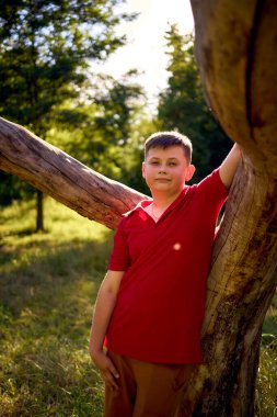 Kırmızı tişörtlü bir çocuk parktaki solmuş bir ağacın yanında üzgün.