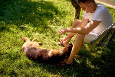   Bir adam dinlenir ve hamakta müzik dinler, köpeği yakınlarda dinlenir.                             