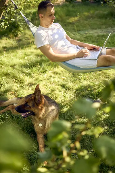 Adamın biri evcil köpeğinin yanındaki hamakta dizüstü bilgisayarda çalışıyor.