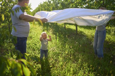  Dört kişilik bir aile bahçede beyaz bir çarşafla oynuyor. Bir çocuk çarşafı sallamak istiyor.                       
