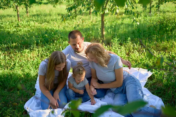 stock image  family of four on a picnic in the park                    