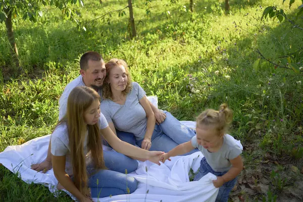 stock image  family of four on a picnic in the park                    