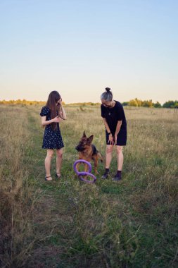 İki kadın gün batımında bir Alman çoban köpeği oyuncağıyla sahada oynuyor.