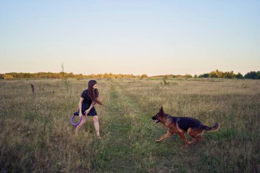 İki kadın gün batımında bir Alman çoban köpeği oyuncağıyla sahada oynuyor.