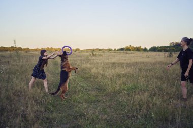 İki kadın gün batımında bir Alman çoban köpeği oyuncağıyla sahada oynuyor.