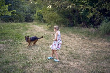           Küçük kız kardeşler bahçede Paskalya pikniğinde Alman çoban köpeğiyle oynuyorlar.                     