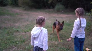 Küçük kız kardeşler kamp gezisinde Alman çoban köpeğiyle oynuyorlar.