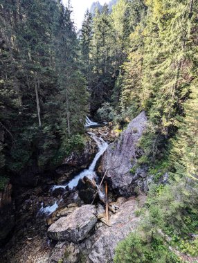 Polonya 'daki Tatra dağlarında şelale