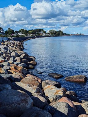 Seagulls and stones on  waterfront in Klampenborg, Copenhagen clipart