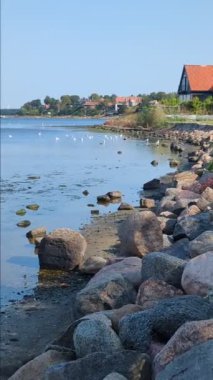 Danimarka 'nın Roslilde kentindeki deniz kıyısındaki evler ve martılar