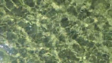 Deniz suyu güneşte parlar