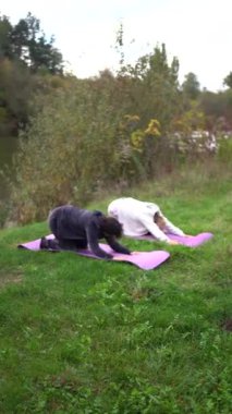 Orta yaşlı kadın, yaşlı annesine sonbaharda nehir kıyısında sağlığını korumak için somatik egzersizler ve yoga öğretiyor.