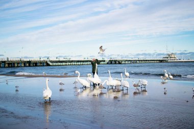 Sopot, Polonya - 15 Ocak 2019: Sopot tatil köyünün kış seti