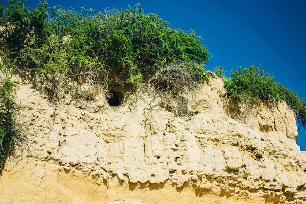 Kıbrıs, Larnaca yakınlarında sarı kum çölü