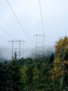 Norveç 'te yağmurlu bir günde ormanın üzerindeki sisle kaplı elektrik hatları.