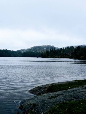 Karanlık yağmurlu bir günde etrafı ağaçlarla çevrili Norveç Gölü