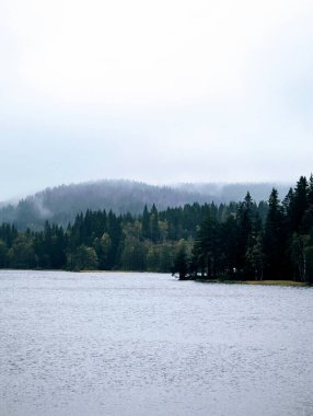 Karanlık yağmurlu bir günde etrafı ağaçlarla çevrili Norveç Gölü