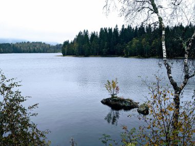 Karanlık yağmurlu bir günde etrafı ağaçlarla çevrili Norveç Gölü
