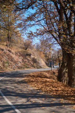 Ormanla kaplı Ermeni dağlarının sonbahar manzarası