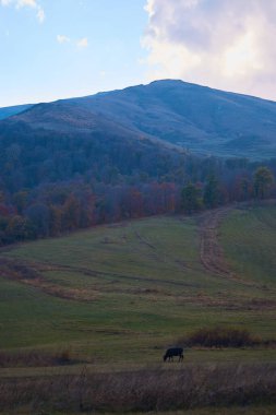 view of autumn Armenian mountains covered with forest clipart