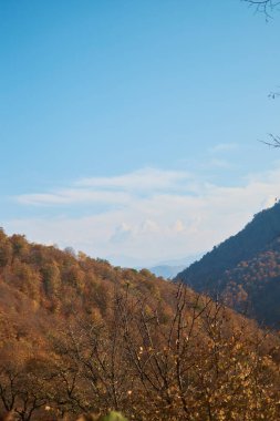 Ormanla kaplı Ermeni dağlarının sonbahar manzarası