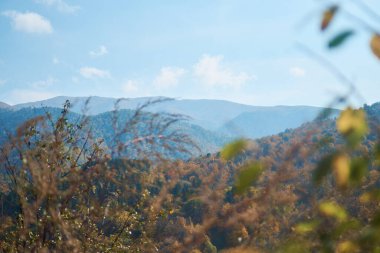 Ormanla kaplı Ermeni dağlarının sonbahar manzarası