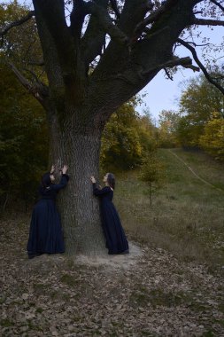      Two women in long black dresses perform a historical reenactment of the Edwardian era on a hill near a majestic oak tree for Halloween.                          