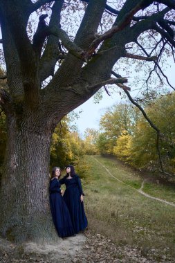     Two women in long black dresses perform a historical reenactment of the Edwardian era dancing lovers on a hill near a majestic oak tree for Halloween.                          