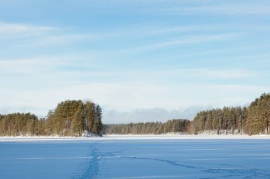  Kış manzaralı gölün korunaklı ve karla kaplı gökyüzü, Rayskala, Finlandiya.